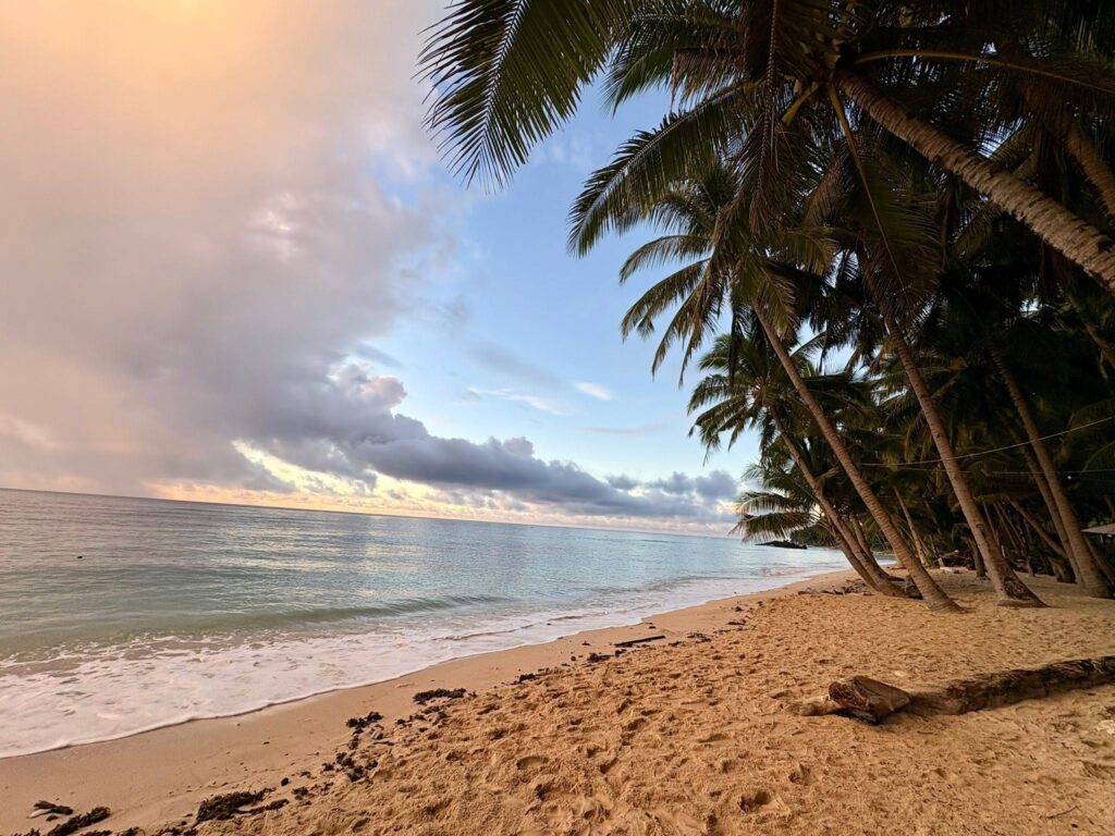 elis beach haven