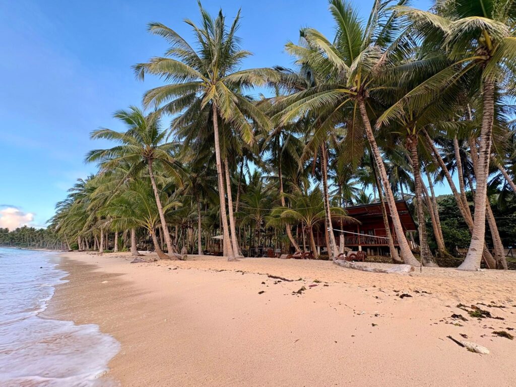 elis beach haven