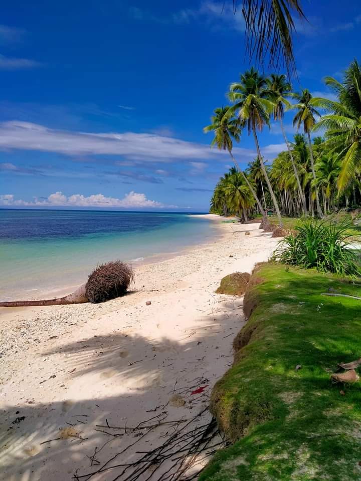 Paraiso De Ortega Beach Resort