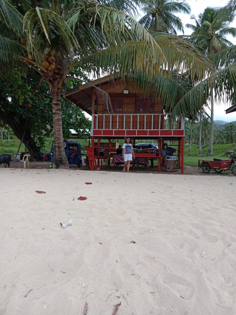 Paraiso De Ortega Beach Resort